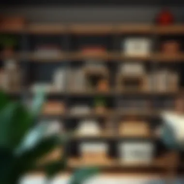Magnificent Exploring Shelf Divider Organizers: A Comprehensive Guide Magnificent Exploring Shelf Divider Organizers: A Comprehensive Guide