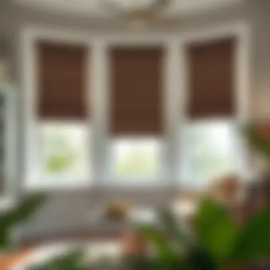 Magnificent Exploring the Optimal Choices for Blackout Shades for Door Windows Magnificent Exploring the Optimal Choices for Blackout Shades for Door Windows