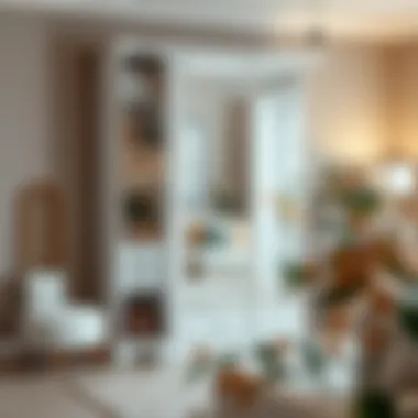 Magnificent Exploring the Utility and Design of White Standing Mirrors with Storage Magnificent Exploring the Utility and Design of White Standing Mirrors with Storage