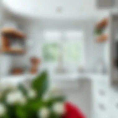 Magnificent Exploring the White Undermount Kitchen Sink: Design and Functionality Magnificent Exploring the White Undermount Kitchen Sink: Design and Functionality