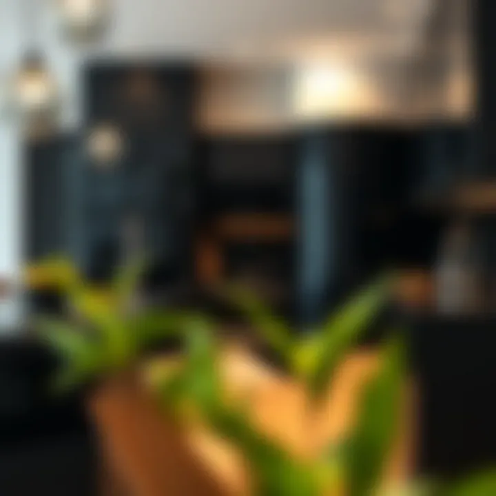 Magnificent High Gloss Black Kitchen Cabinets: A Comprehensive Exploration
