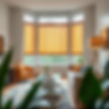 Magnificent Maximizing Style and Functionality: Budget-Friendly Blinds Solutions Magnificent Maximizing Style and Functionality: Budget-Friendly Blinds Solutions