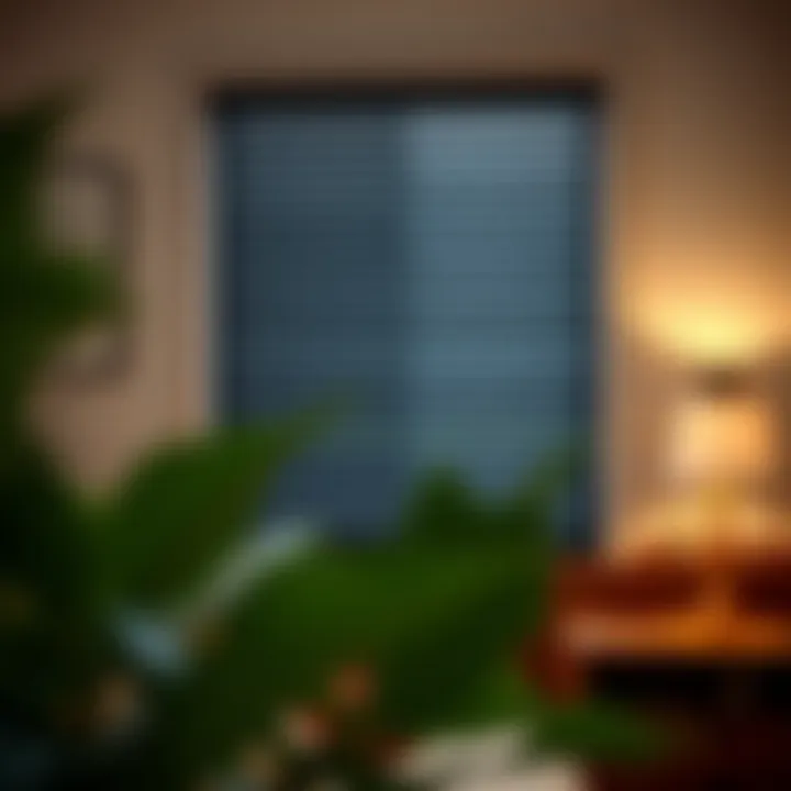 Magnificent The Aesthetic and Functional Aspects of Window Black Blinds
