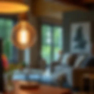 Magnificent The Comprehensive Guide to Remote Bulbs
