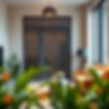 Magnificent The Comprehensive Guide to Removable Screen Doors for Apartments