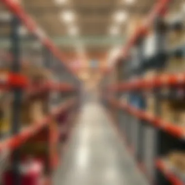 Notable A Comprehensive Exploration of Costco Steel Shelves Notable A Comprehensive Exploration of Costco Steel Shelves
