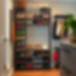 A Comprehensive Guide to Tall Shoe Racks for Closets Introduction