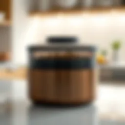 Elegant vacuum food container showcasing sleek design