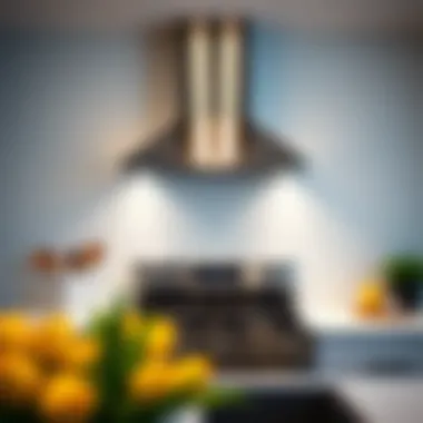 Notable Built-in Exhaust Systems for Stoves: A Comprehensive Overview Notable Built-in Exhaust Systems for Stoves: A Comprehensive Overview