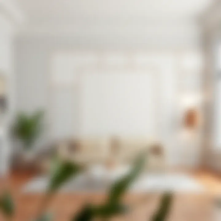 Room Layout for Painting Diagram of a room with wall areas marked for painting