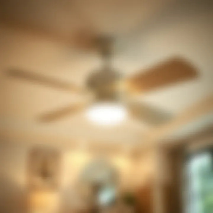 Energy-efficient ceiling fan options for cozy bedrooms
