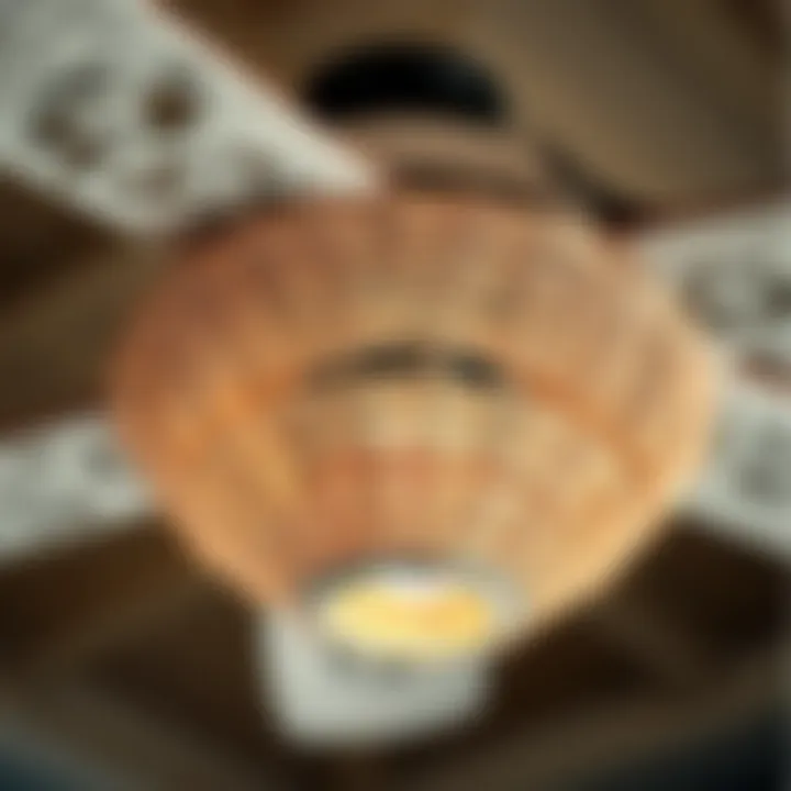 Intricate Wicker Design of a Ceiling Fan Close-up of the intricate wicker design on a ceiling fan