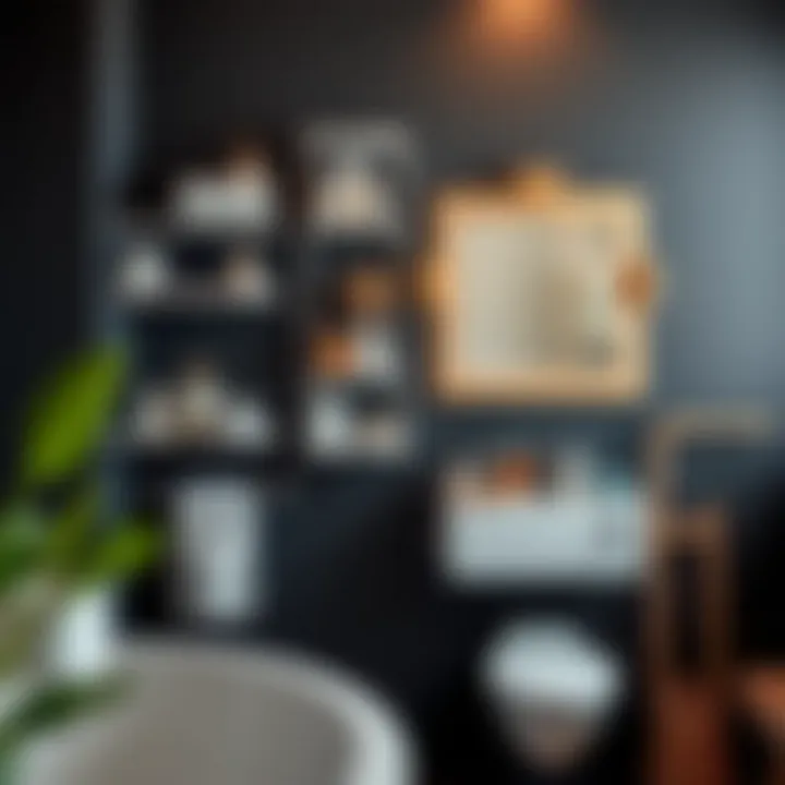Wall-mounted accessories for efficient bathroom organization