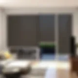 Sleek Design of Motorized Sliding Door Shades Elegant motorized sliding door shade in contemporary living space