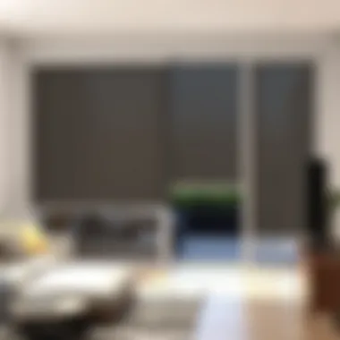 Sleek Design of Motorized Sliding Door Shades Elegant motorized sliding door shade in contemporary living space