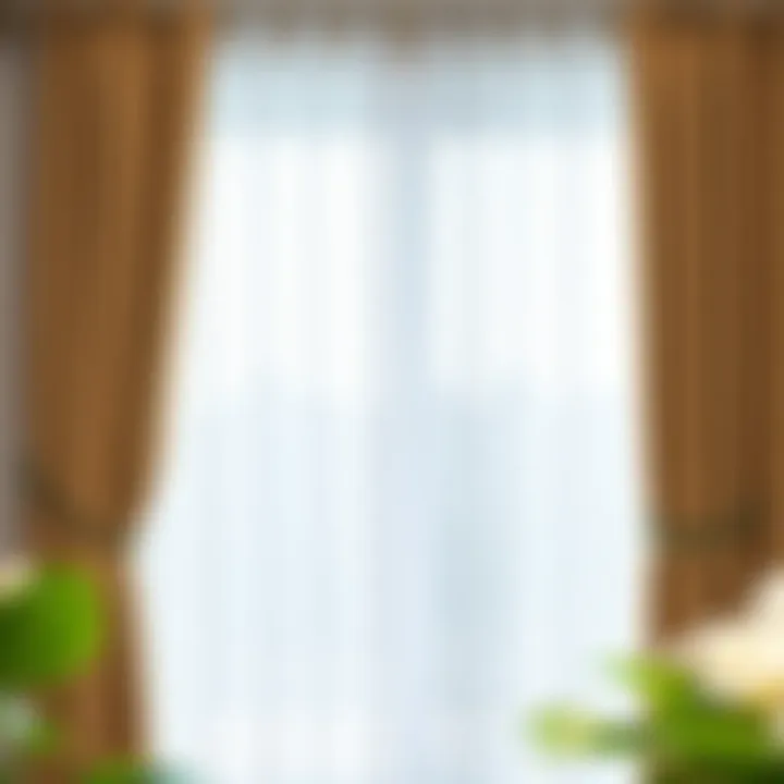 Installation Guide for Curtain Spacers Illustration showing the installation method of curtain spacers on eyelet curtains