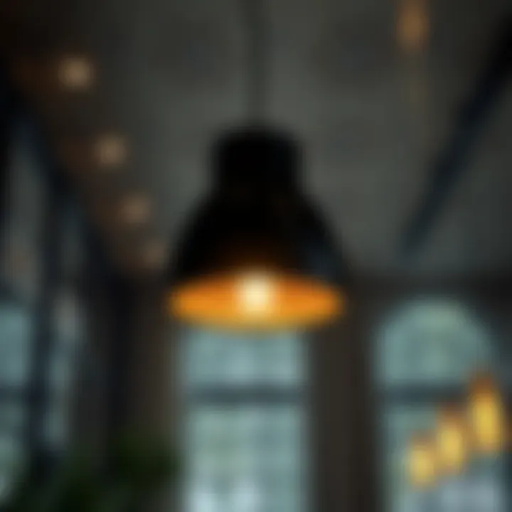 Sustainable Design: Eco-Friendly Pendant Lighting Eco-friendly design principles applied to pendant lamp