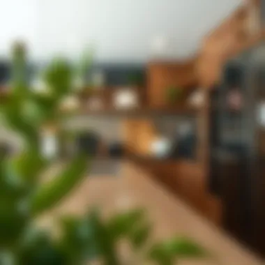Effective Strategies for Organizing Your Kitchen Counter Introduction