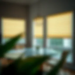 Electric House Blinds: Integrating Smart Solutions in Home Design Introduction