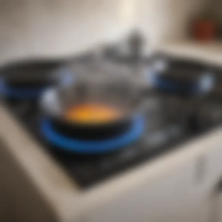 Efficient maintenance tips for electric induction hobs