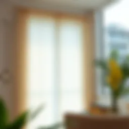 Elegant sheer fabric blinds enhancing natural light
