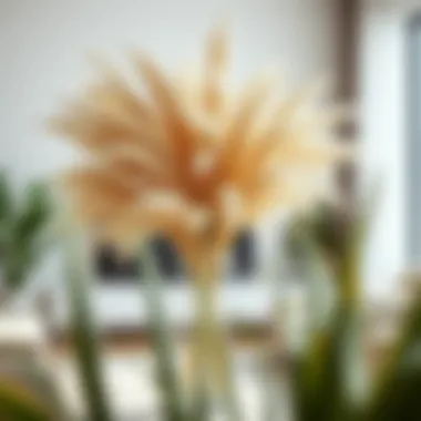 Pampas grass arrangement in a contemporary setting