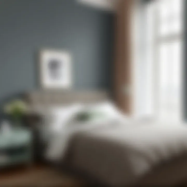 Notable Exploring Bed Colors: A Comprehensive Guide for Thoughtful Choices