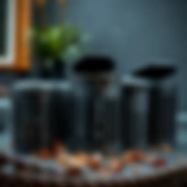 Diverse Styles of Black Metal Trash Cans Artistic view showcasing different styles of black metal trash cans