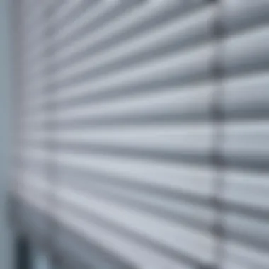 Close-up of California blinds showcasing material texture