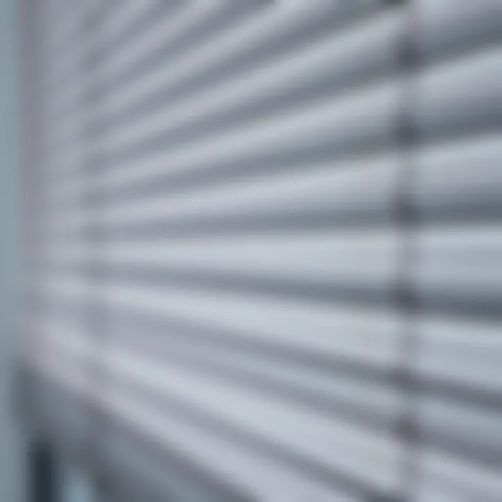 Close-up of California blinds showcasing material texture