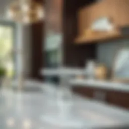 Elegant chrome cabinet pull showcasing modern design