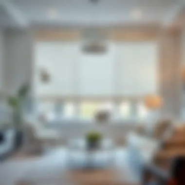 Elegant Cordless Roller Shades Installation Elegant installation of cordless roller shades in a contemporary living space