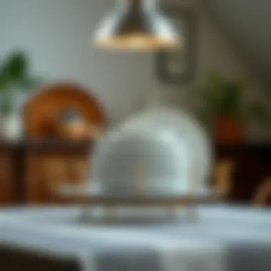 Notable Exploring Dish Plate Holders: Design, Functionality, and Trends Notable Exploring Dish Plate Holders: Design, Functionality, and Trends