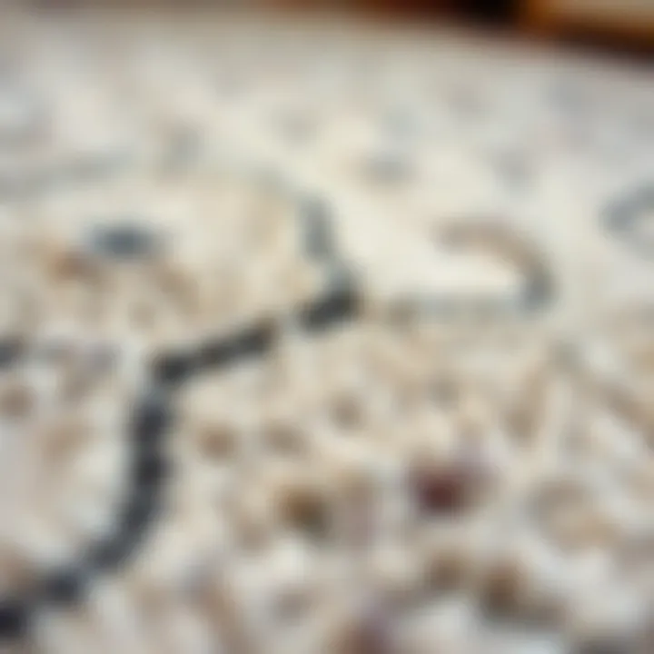 Luxurious texture of a Family Dollar rug