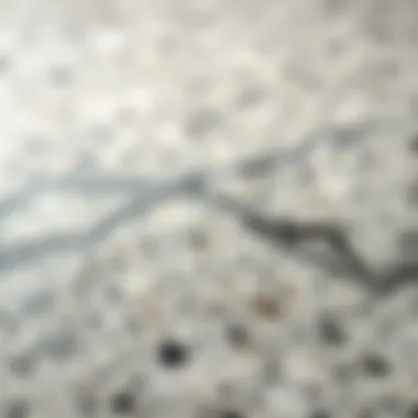 Granite Texture and Durability Close-up of granite texture highlighting durability