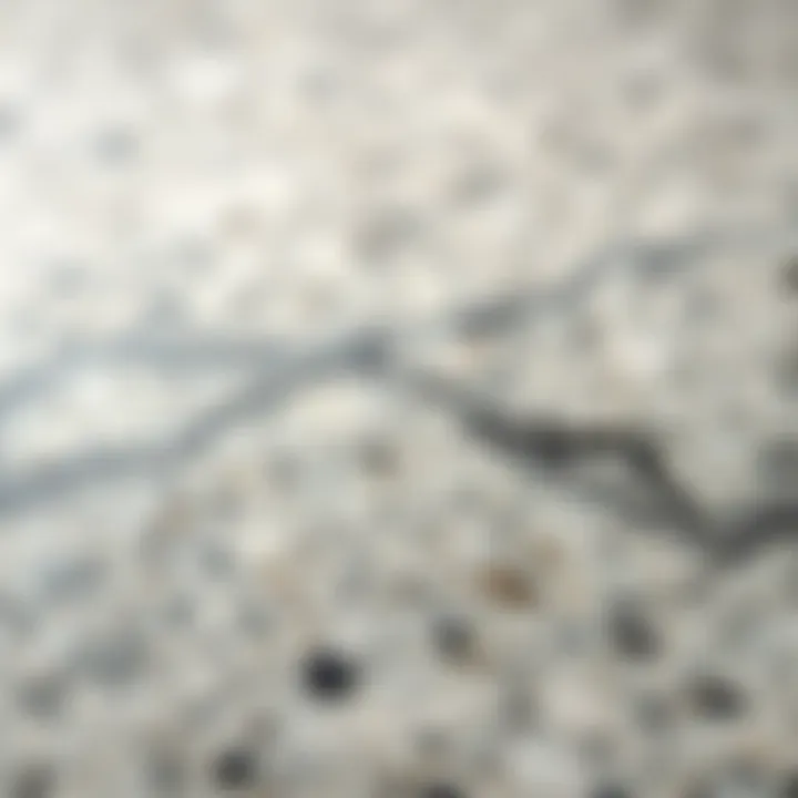 Granite Texture and Durability Close-up of granite texture highlighting durability