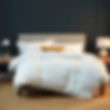 Exploring King Size Duvet Inserts: A Lightweight Approach Summary