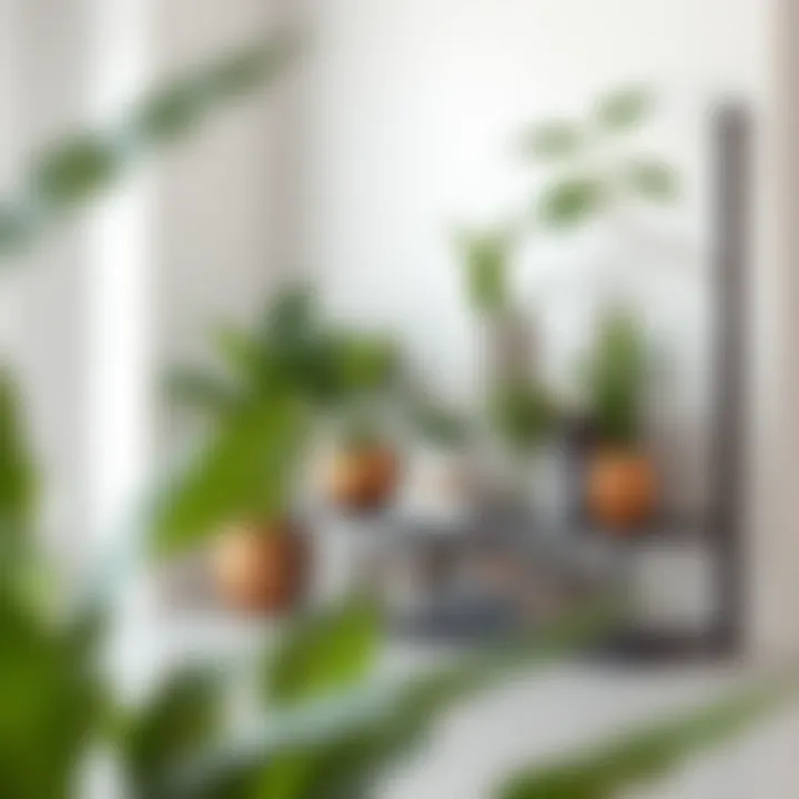 Aesthetic Arrangement of Plants and Books on a Shelf A beautifully styled metal and glass shelf unit with plants and books