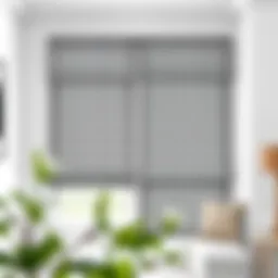 Exploring Roman Vertical Blinds: A Comprehensive Guide Introduction