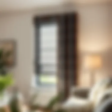 Notable Exploring Roman Vertical Blinds: A Comprehensive Guide