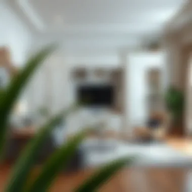 Exploring Small Living Room Cabinets with Doors Summary Exploring Small Living Room Cabinets with Doors Summary