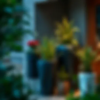 Aesthetic arrangement of plants in tall containers