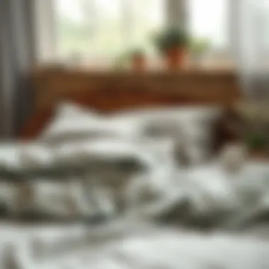 Eco-Friendly Duvet Sheet Set with Sustainable Materials Eco-friendly duvet sheet set highlighting sustainable materials