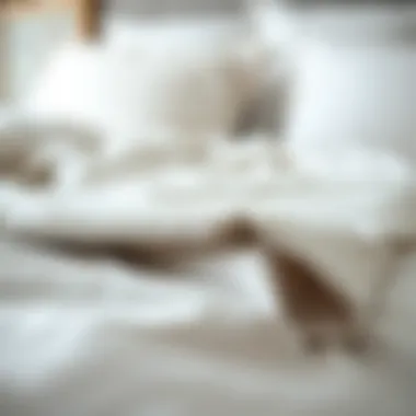 Premium Fabric Texture of Duvet Sheet Sets Close-up of premium fabric texture used in duvet sheet sets