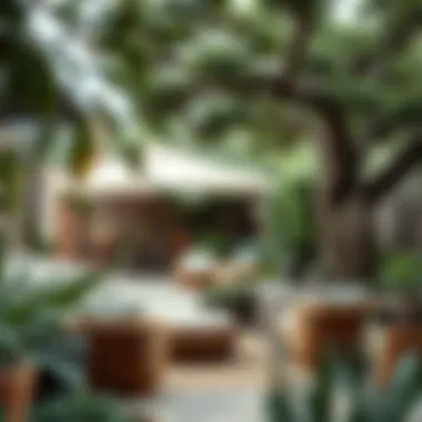 Exploring the Intersection of Patios and Tree Furniture Summary Exploring the Intersection of Patios and Tree Furniture Summary