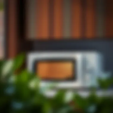 Energy efficiency ratings of small white microwave ovens