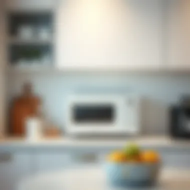 Minimalist kitchen featuring small white microwave oven