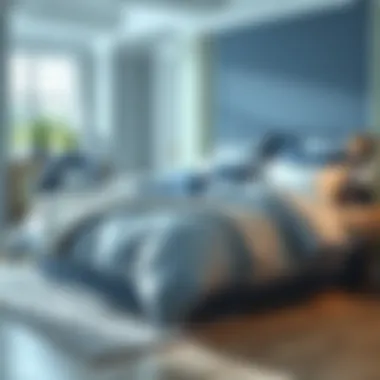 Exploring the Soft Blue Comforter Set: A Comprehensive Guide Summary