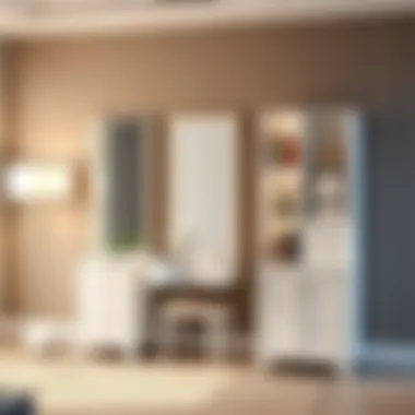 Exploring the Utility and Design of White Standing Mirrors with Storage Summary Exploring the Utility and Design of White Standing Mirrors with Storage Summary