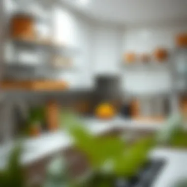 Exploring the Utility of Stainless Steel Shelving Units in the Kitchen Summary Exploring the Utility of Stainless Steel Shelving Units in the Kitchen Summary